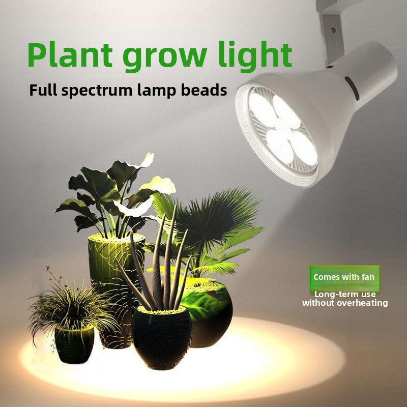 풀 스펙트럼 트랙 성장등 LED 식물등 (열대우림 테라 - Plant Grow Light Full Spectrum 리뷰 및 가격