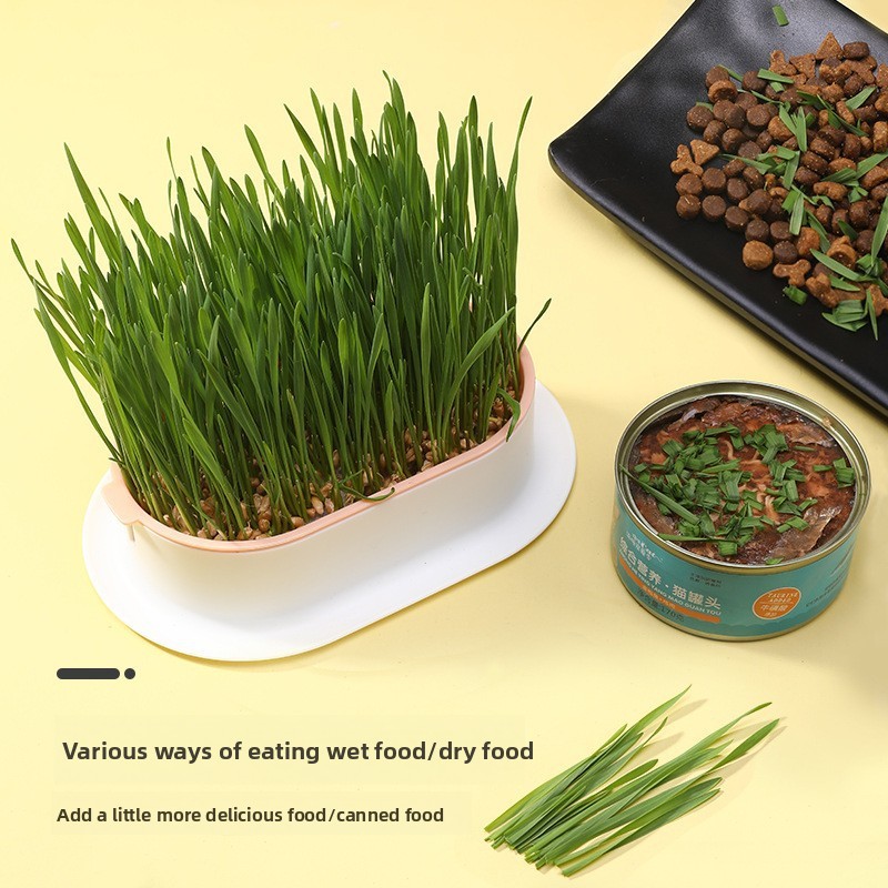 애완 동물 용품 고양이 간식 고양이 심기 수경 상자 고 - Hydroponic Grow Pod 리뷰 및 가격