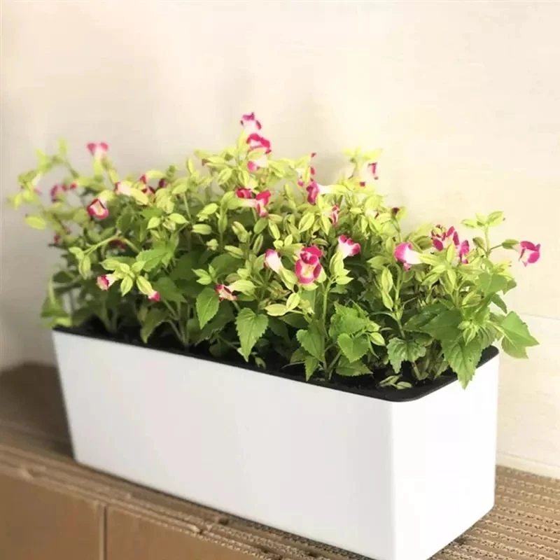 직사각형 게으른 꽃 냄비 화분 수경 플라스틱 꽃 냄비  - Hydroponic Grow Pod 리뷰 및 가격