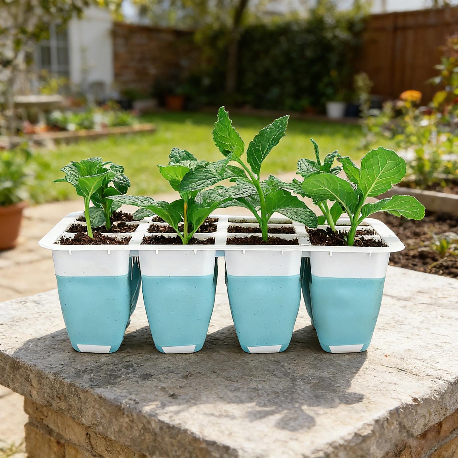 5팩 실리콘 묘목 트레이 60구 재사용 가능 묘목 발아 - Indoor Garden Kit 리뷰 및 가격