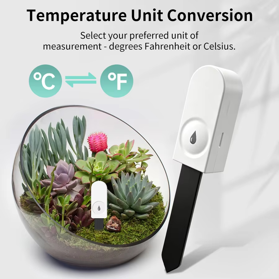 Zigbee 3.0 식물 모니터 토양 수분 공기 온도  - Garden Camera 리뷰 및 가격