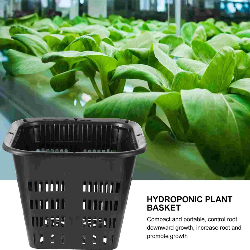 6개입 수경재배용 재배 바구니, 플라스틱 메쉬 네트 화 - Hydroponic Grow Pod 리뷰 및 가격