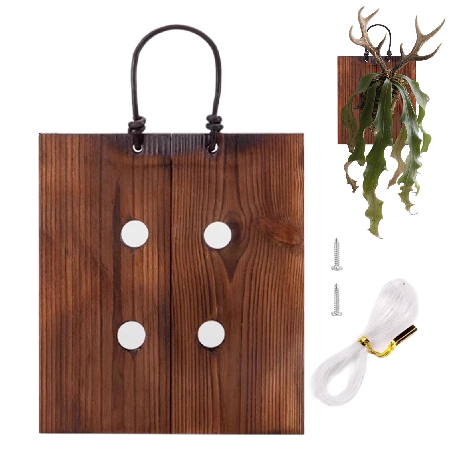 스테이그혼 펀 벽걸이형 나무 화분 키트 (하드웨어 포함 - Indoor Garden Kit 리뷰 및 가격