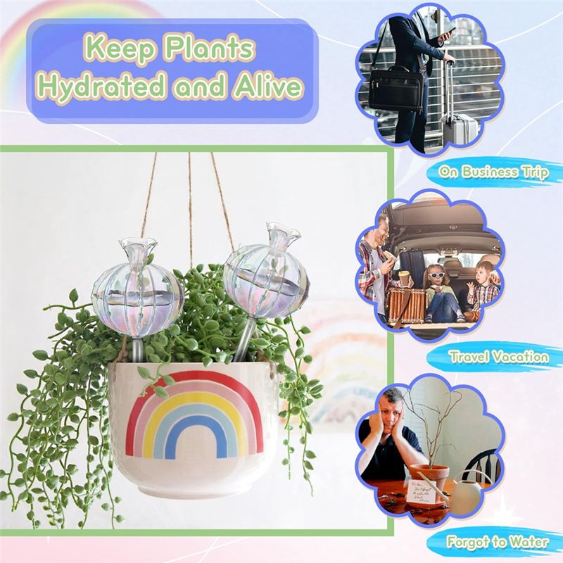 AA94-식물용 자동 급수 구슬, 유리 재질의 선인장  - Self Watering Planter 리뷰 및 가격